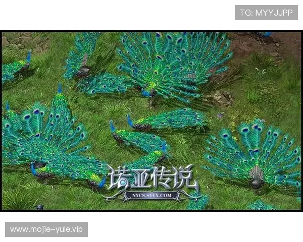 太阳2平台多渠道登录方式介绍支持多设备多平台无缝切换畅享游戏乐趣
